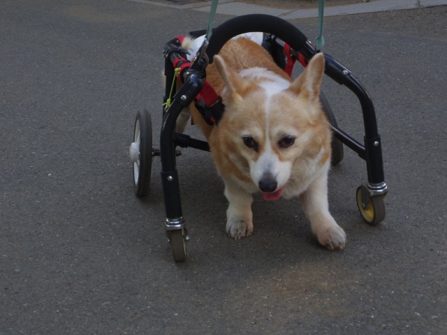 640×480-IMGP4288.jpg