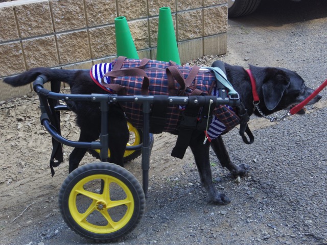 640×480-IMGP4304.jpg