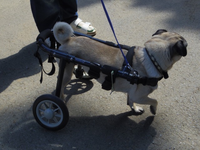 640×480-IMGP4318.jpg