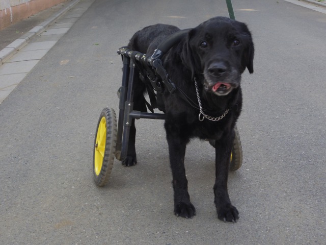 640×480-IMGP4324.jpg