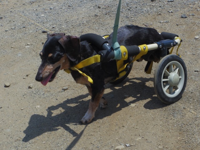 640×480-IMGP4341.jpg