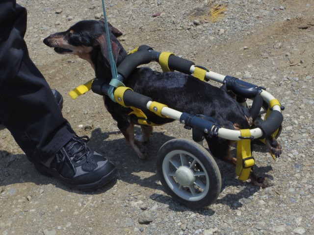 640×480-IMGP4343.jpg