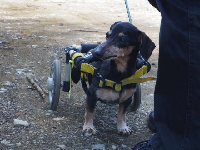 640×480-IMGP4346.jpg