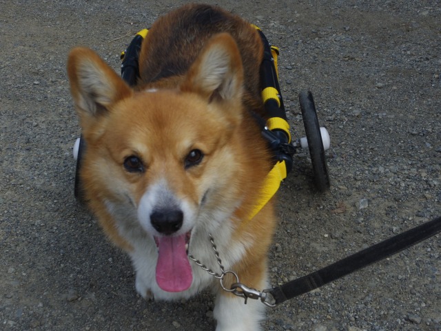 640×480-IMGP4391.jpg