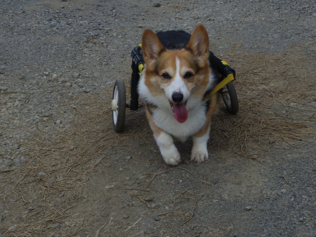 640×480-IMGP4413.jpg