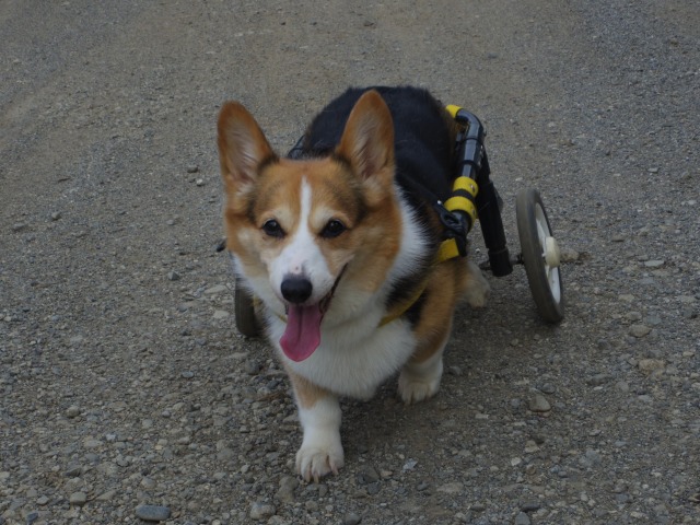 640×480-IMGP4415.jpg