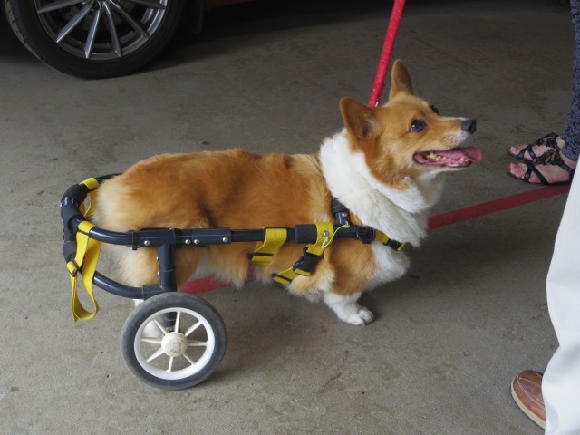 640×480-IMGP4434.jpg