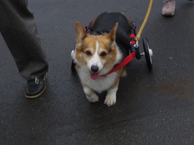 640×480-IMGP4459.jpg