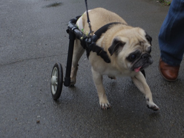 640×480-IMGP4476.jpg