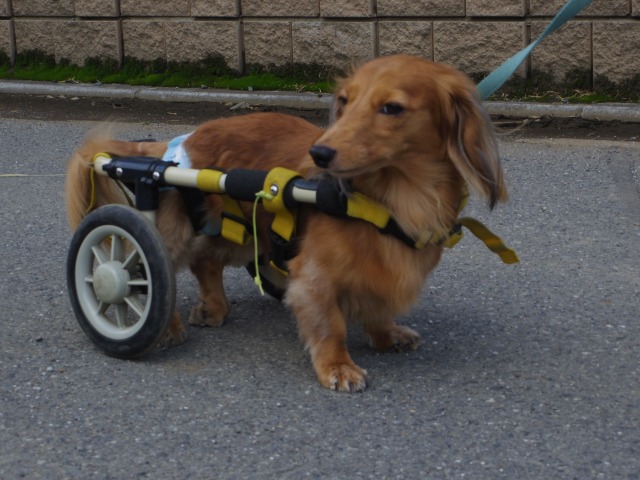 640×480-IMGP4483.jpg