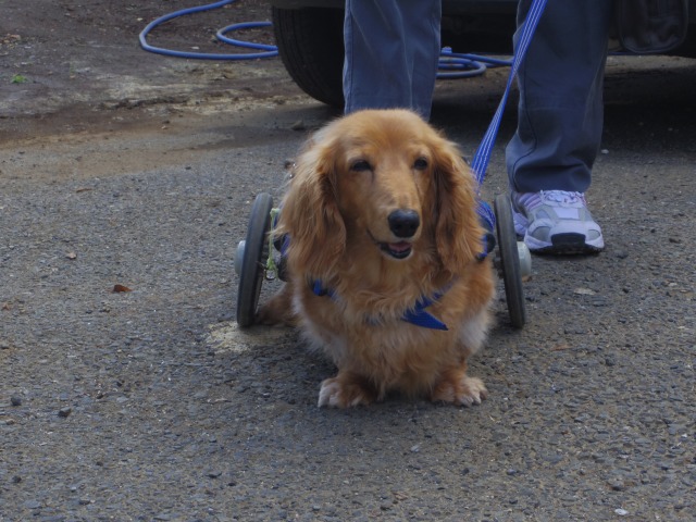 640×480-IMGP4487.jpg