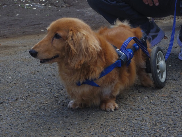 640×480-IMGP4489.jpg