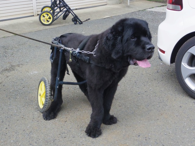 640×480-IMGP4495.jpg