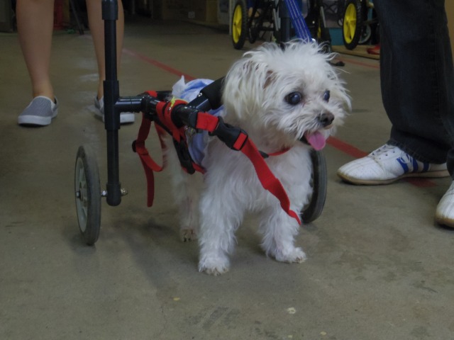 640×480-IMGP4498.jpg