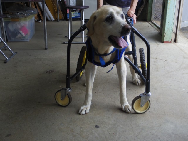 640×480-IMGP4507.jpg