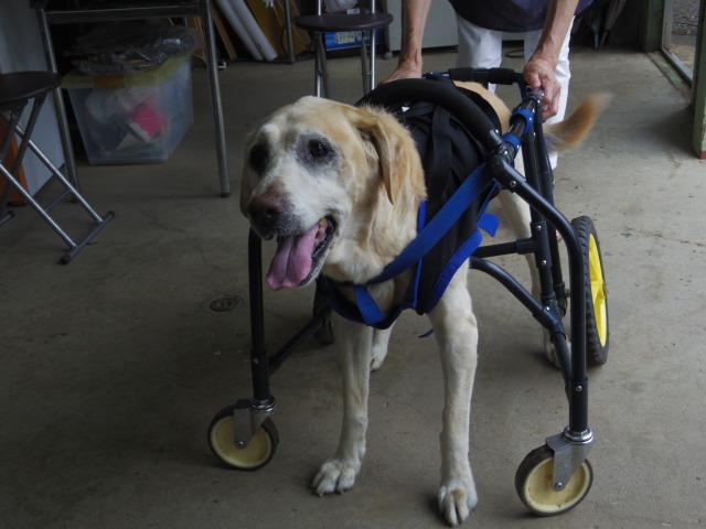 640×480-IMGP4509.jpg