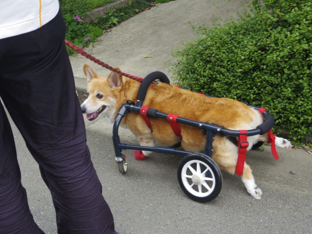640×480-IMGP4521.jpg