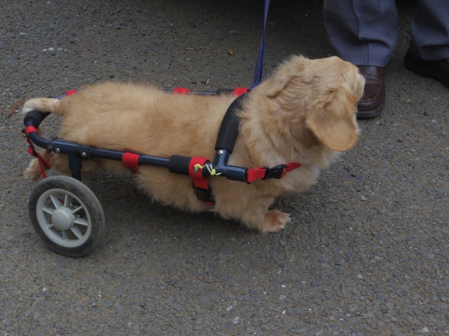 640×480-IMGP4578.jpg