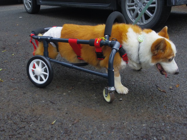640×480-IMGP4602.jpg