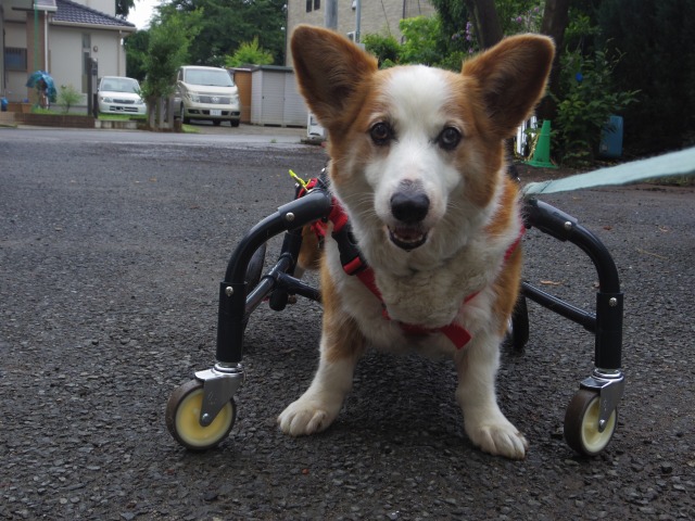 640×480-IMGP4603.jpg