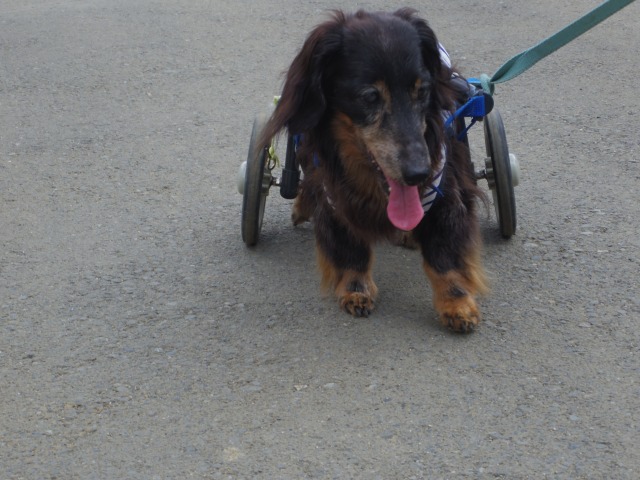 640×480-IMGP4715.jpg