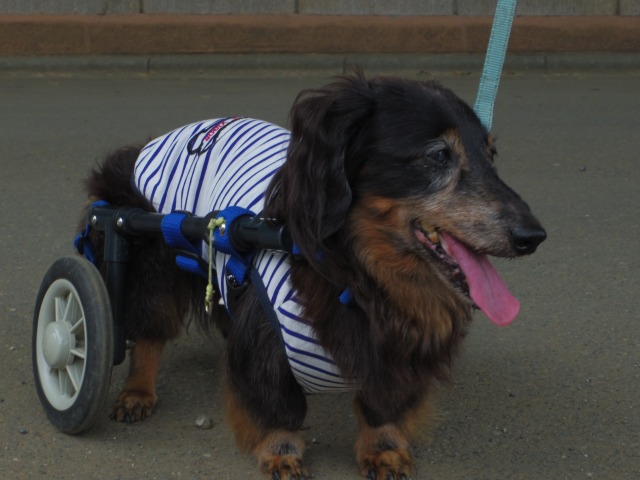 640×480-IMGP4719.jpg