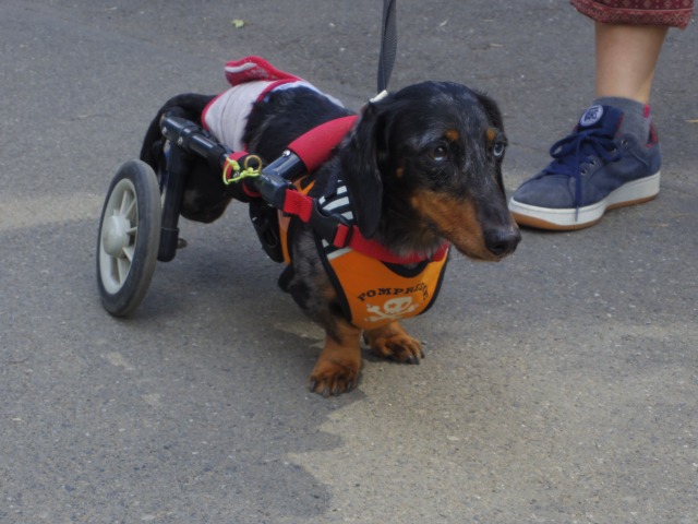 640×480-IMGP4725.jpg