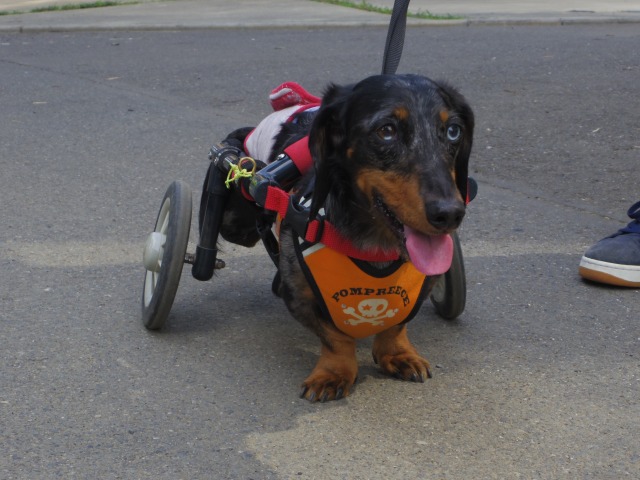 640×480-IMGP4726.jpg