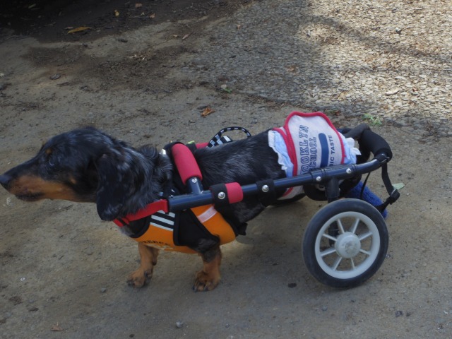 640×480-IMGP4732.jpg