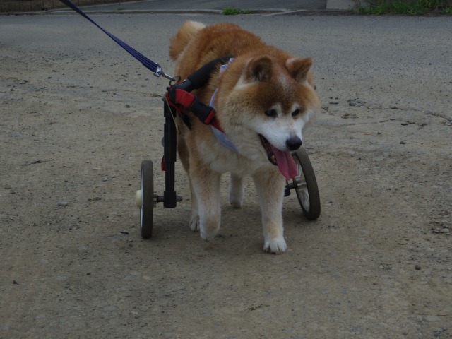 640×480-IMGP4745.jpg