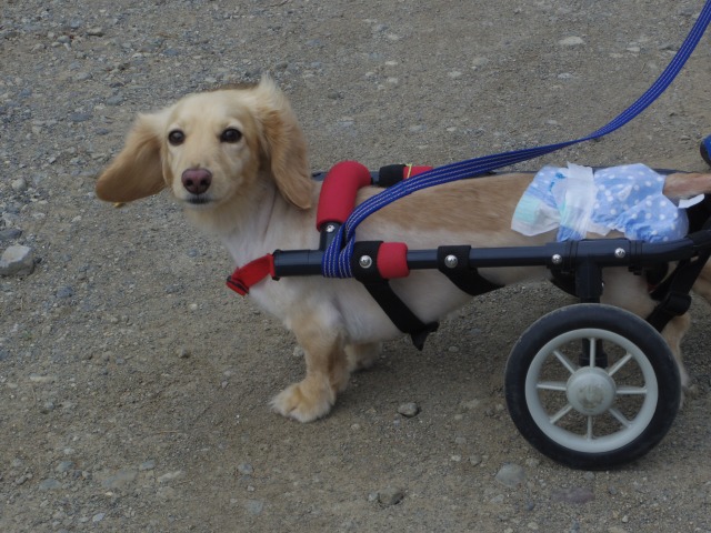 640×480-IMGP4754.jpg