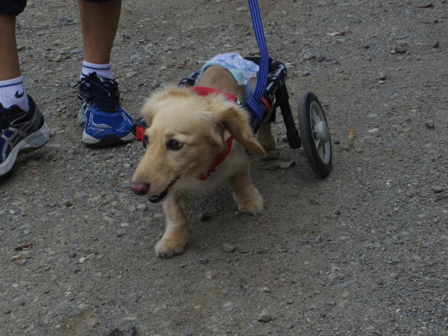 640×480-IMGP4760.jpg