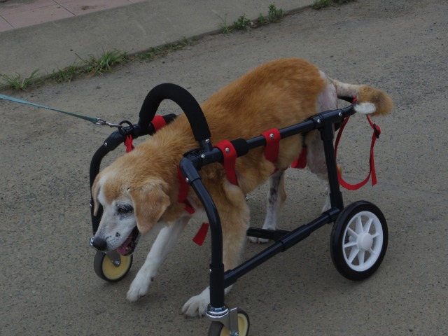 640×480-IMGP4770.jpg