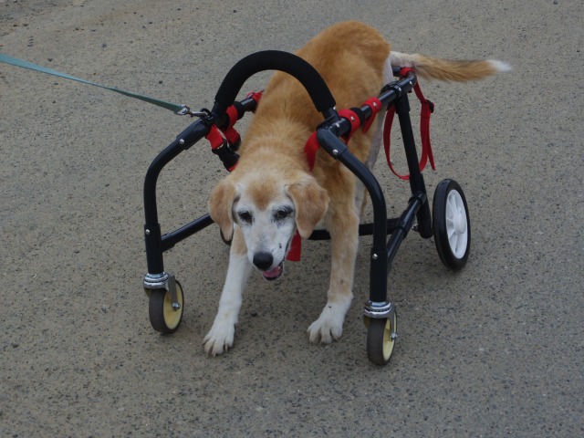640×480-IMGP4772.jpg