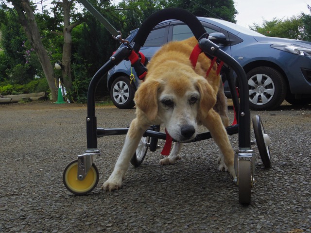 640×480-IMGP4776.jpg