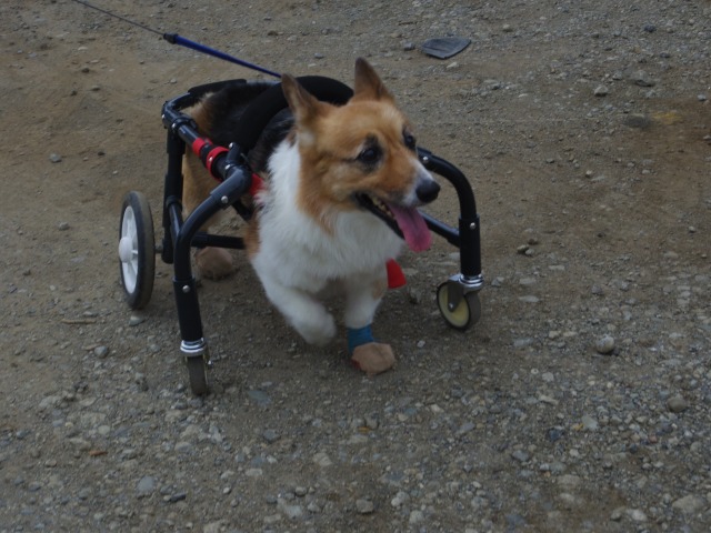 640×480-IMGP4811.jpg