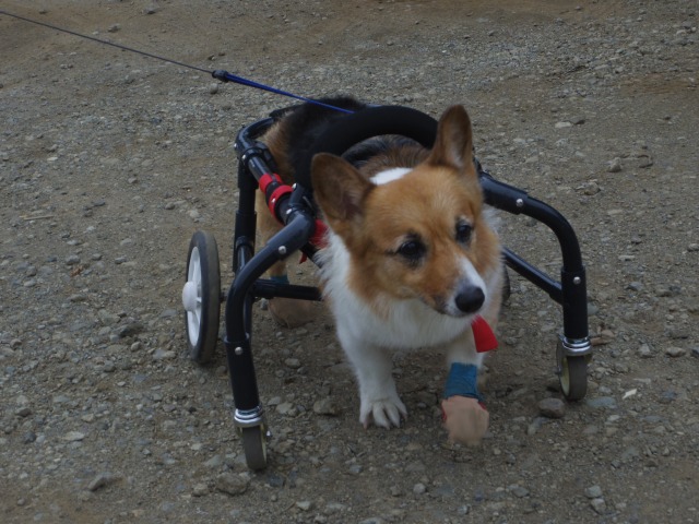 640×480-IMGP4812.jpg
