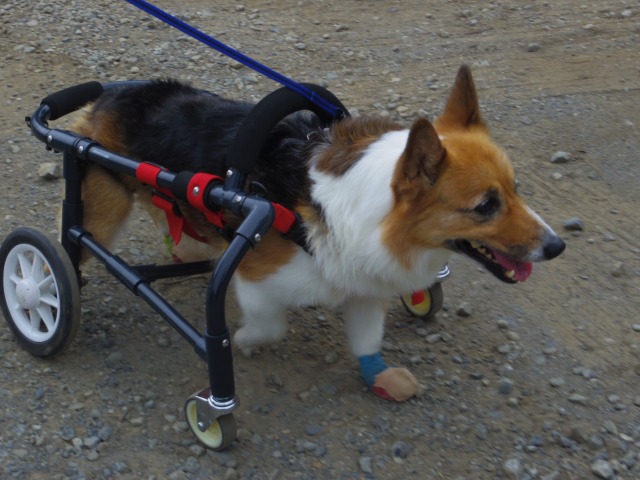 640×480-IMGP4817.jpg