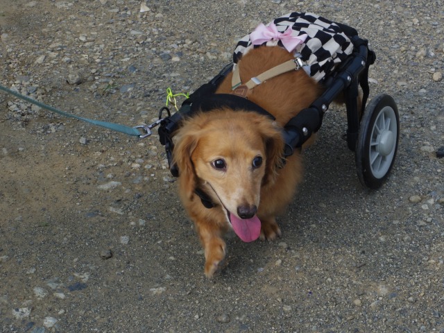 640×480-IMGP4884.jpg