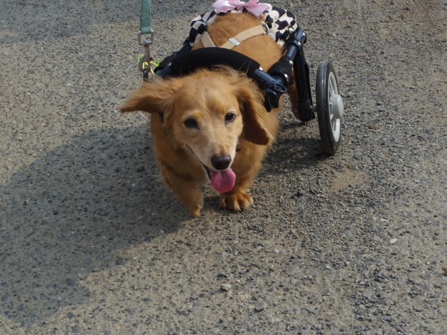 640×480-IMGP4889.jpg