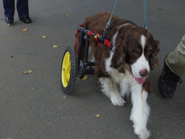 640×480-IMGP4937.jpg