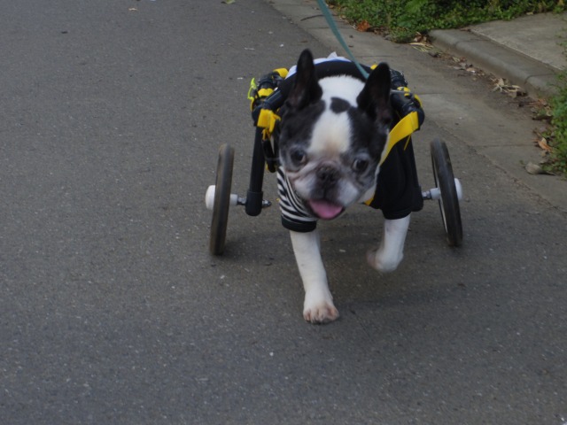 640×480-IMGP4961.jpg