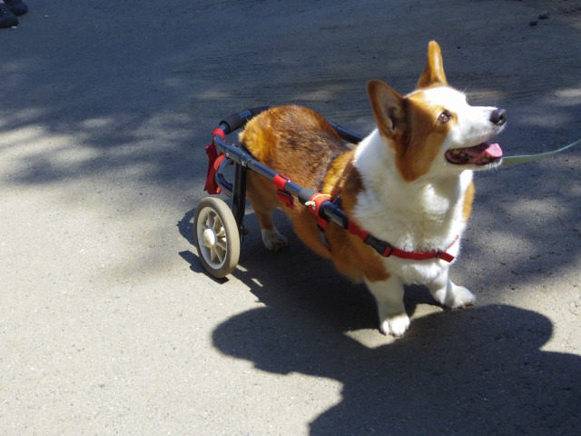 640×480-IMGP4967.jpg