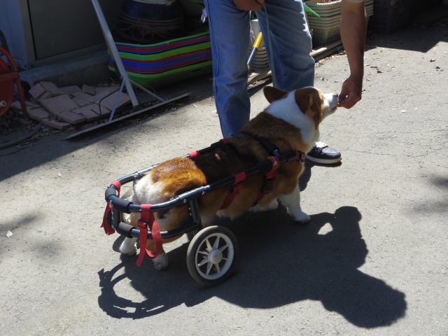 640×480-IMGP4968.jpg