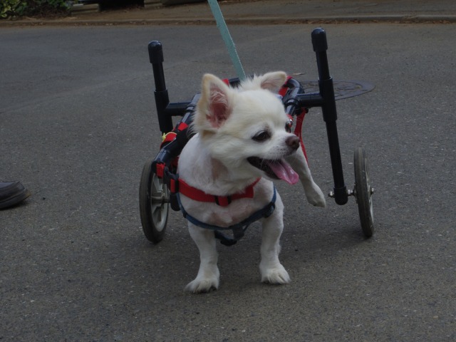 640×480-IMGP4988.jpg
