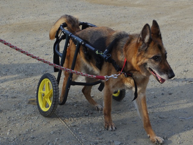 640×480-IMGP4997.jpg