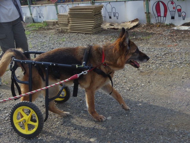640×480-IMGP5000.jpg