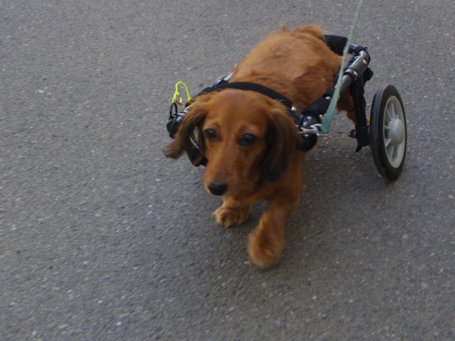 640×480-IMGP5007.jpg