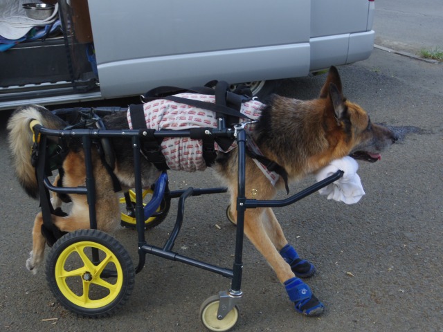 640×480-IMGP5017.jpg