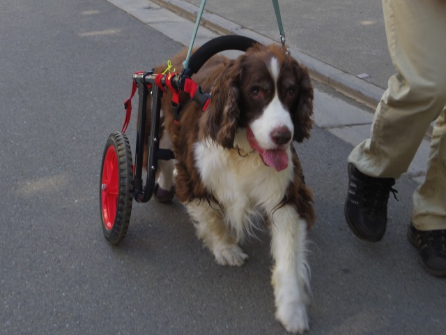 640×480-IMGP5021.jpg